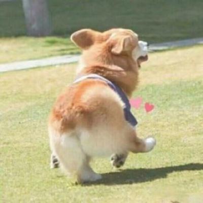 情侣头像另一半在线查找 5