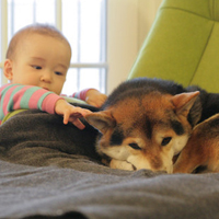 男生网名简单不重复