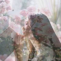 优美的女生网名大全