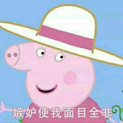 我的世界猪神图片头像 9