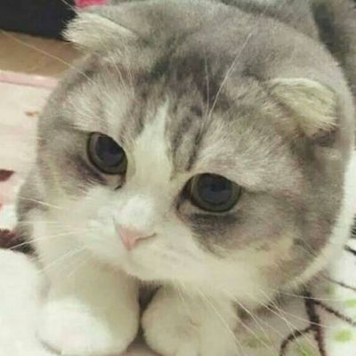 微信搞笑头像图片 3