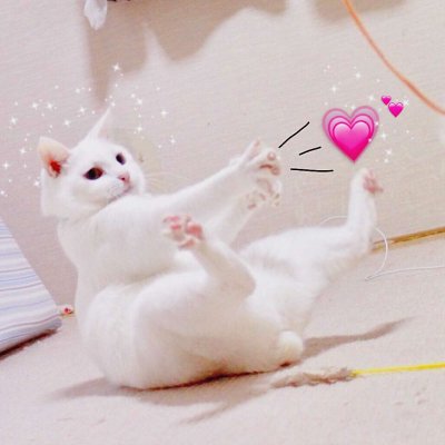 抖音搞笑头像图片大全 2