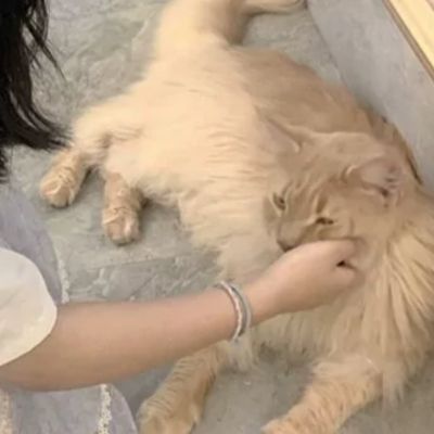 哪里可以查图片是不是情侣头像 3