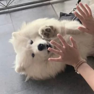 扫一扫识别情侣头像不需要下载 5