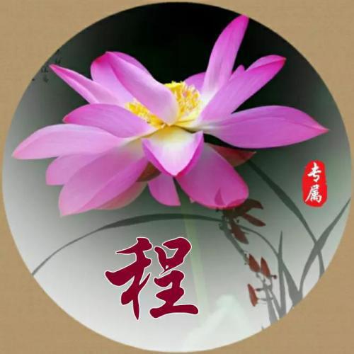 中国风姓氏头像 1