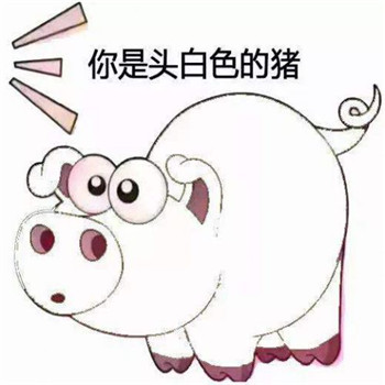 我的世界猪神图片头像 10