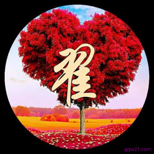 虎年姓氏头像程 5