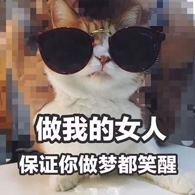 汤姆猫头像带文字 6