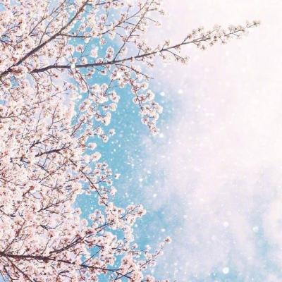 微信头像图片2023最新唯美好运 6