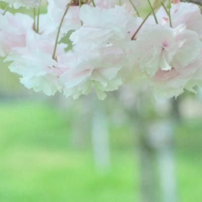 2023年吉祥好运微信头像图片 3