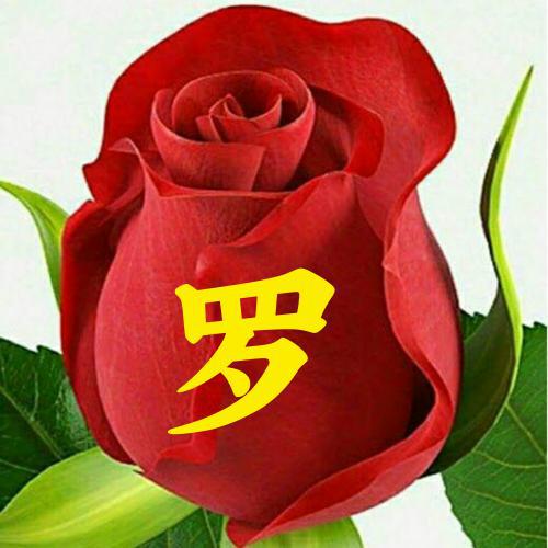2023年微信头像女生好运 1