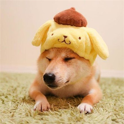 微信朋友圈封面和头像 1