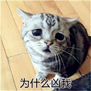 天猫店铺头像logo 2