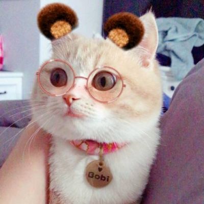 怎么查看微信用过的头像 4
