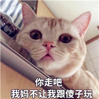 逃跑吧少年搞笑头像框 4