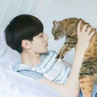 男头像帅气阳光遮脸 5