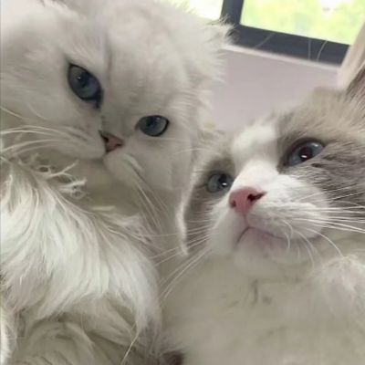 情侣头像不明显一张 4