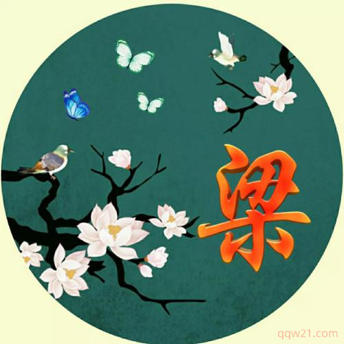姓氏周微信头像立体图片 4