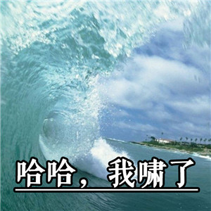 耀扬头像表情包 6