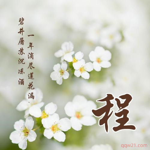 女生野性网名二字