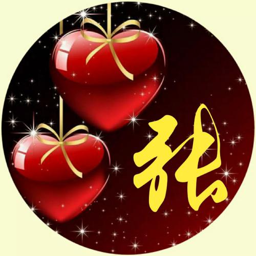 姓氏头像 模板 素材 1