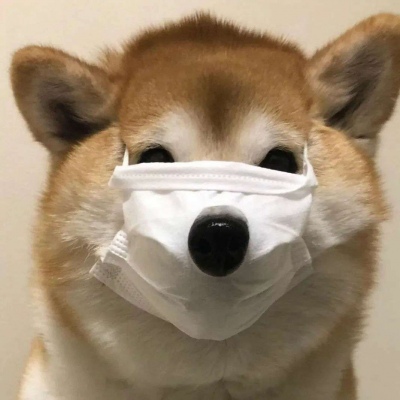 可爱的卡通头像 2