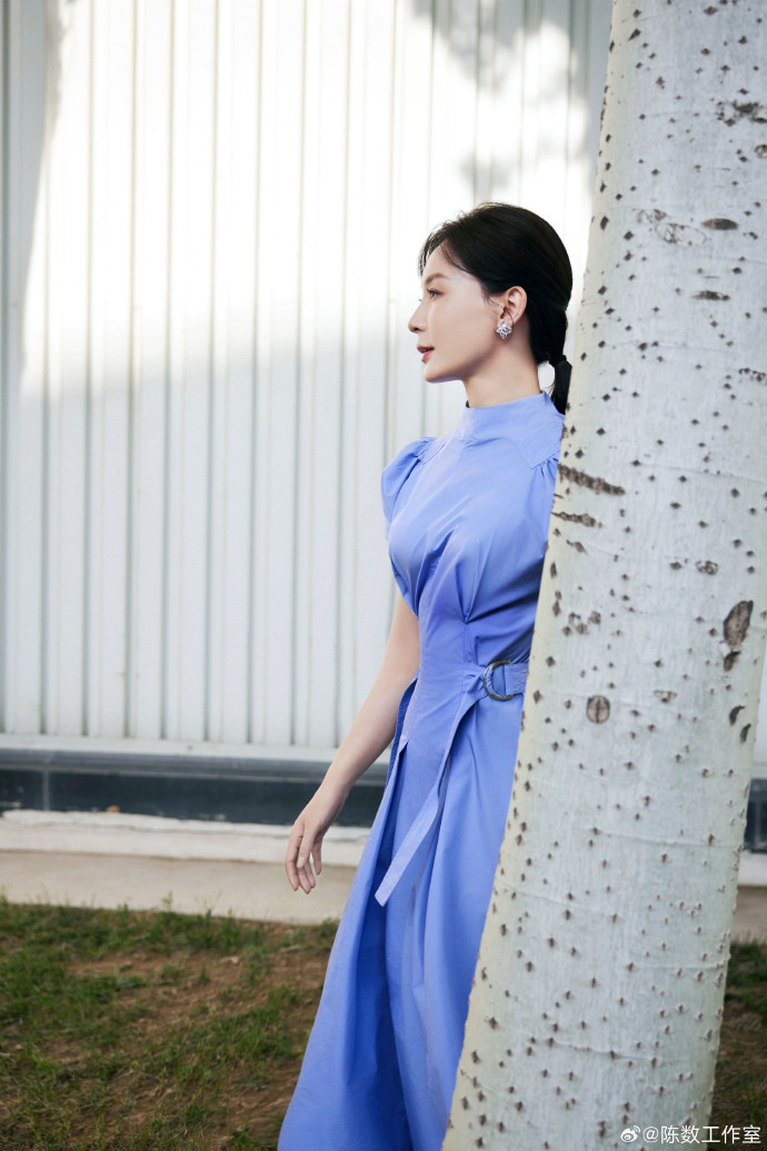 知性美女演员陈数蓝色连衣裙图片 2