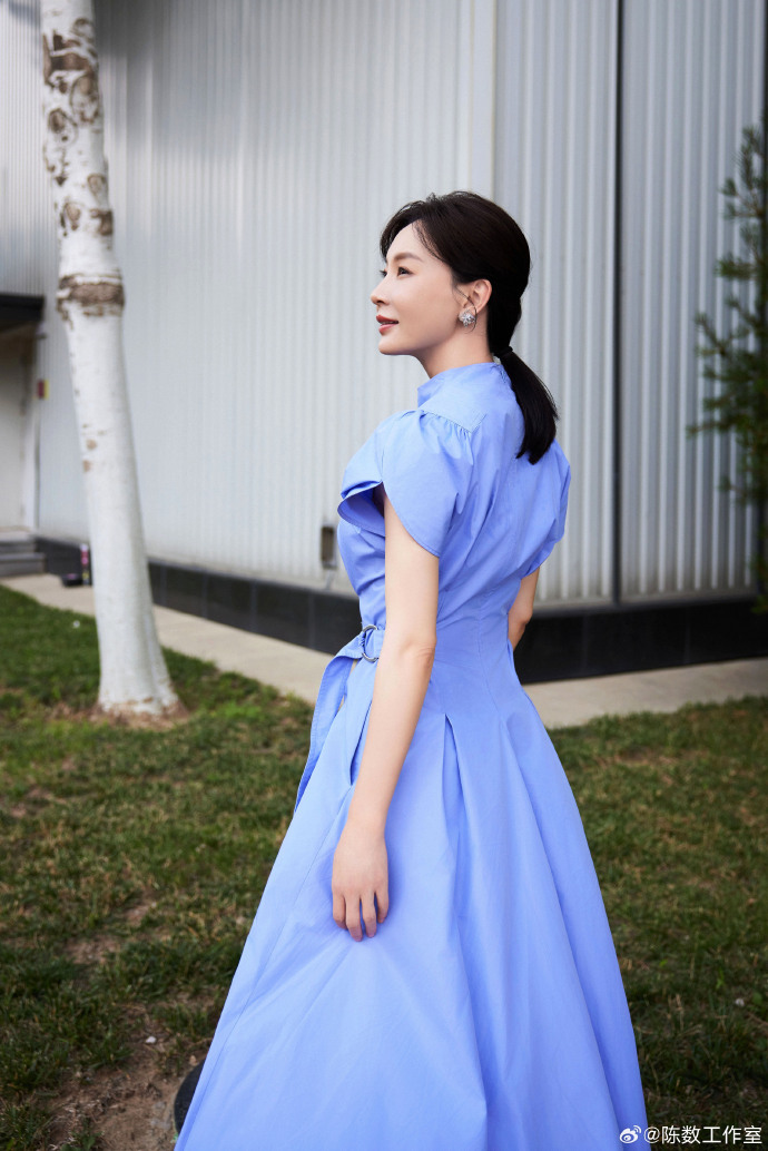 知性美女演员陈数蓝色连衣裙图片 4