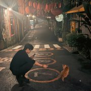 95后男明星宋威龙爱心图片
